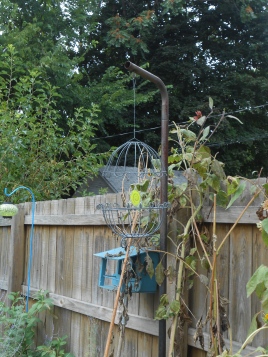 I created a faux birdcage for my flower bed by attaching two planter bases together with wire and hanging a broken glass star in the middle.